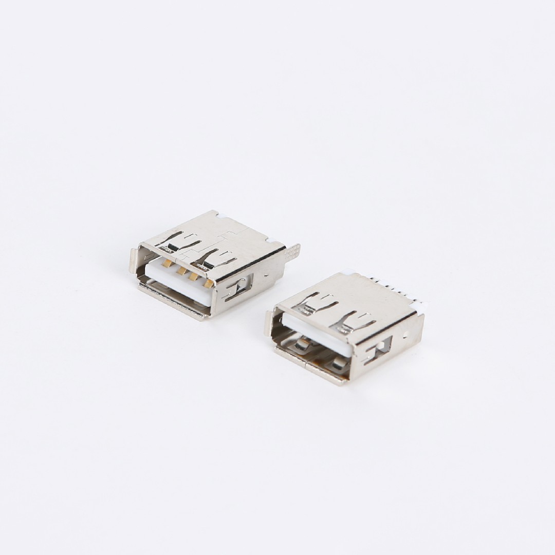 C10S31 USB2.0 AF 有尾后塞